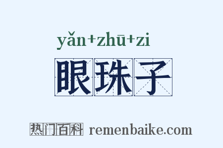 眼珠子是什么意思的图片